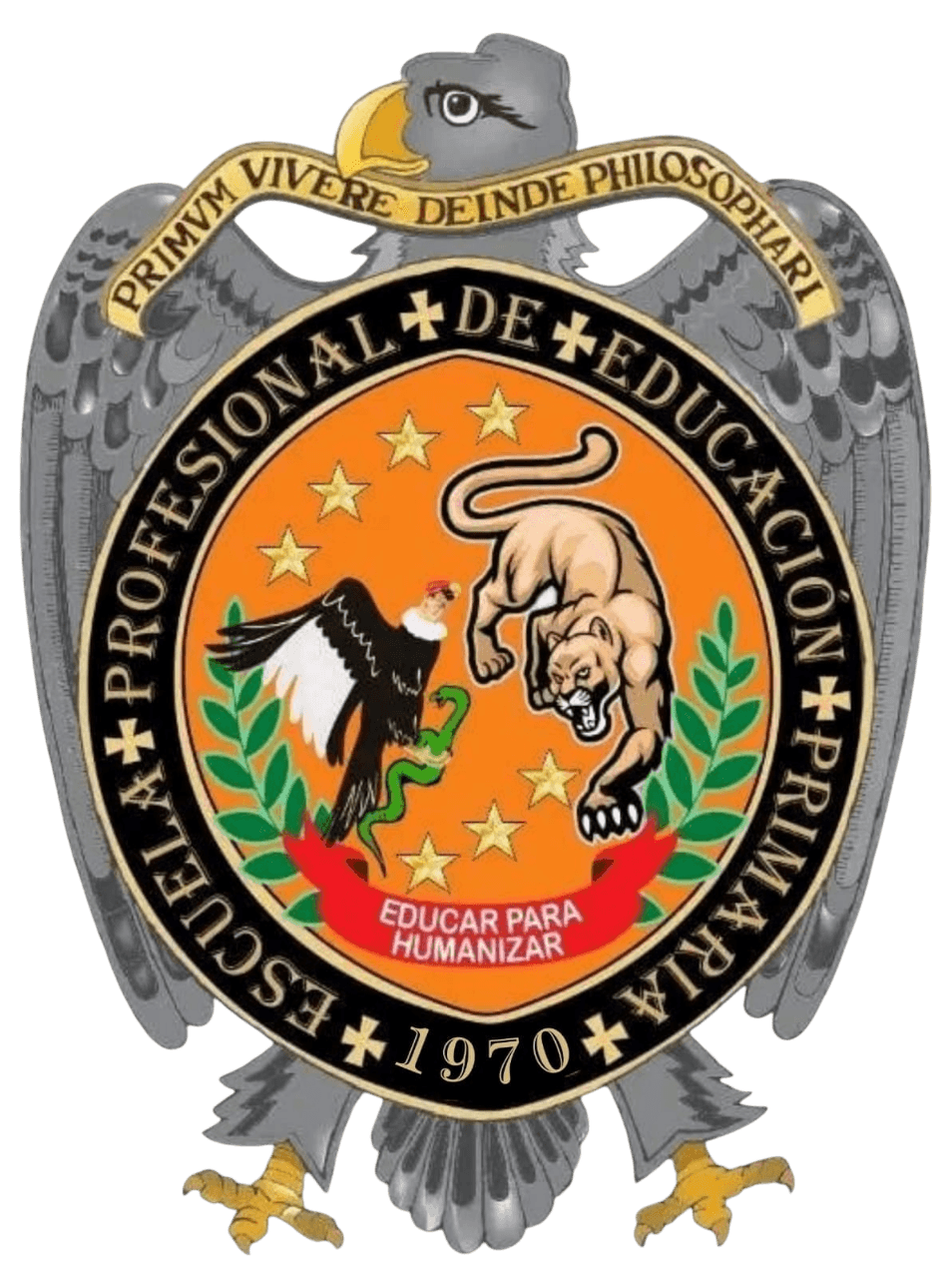 Educación Primaria